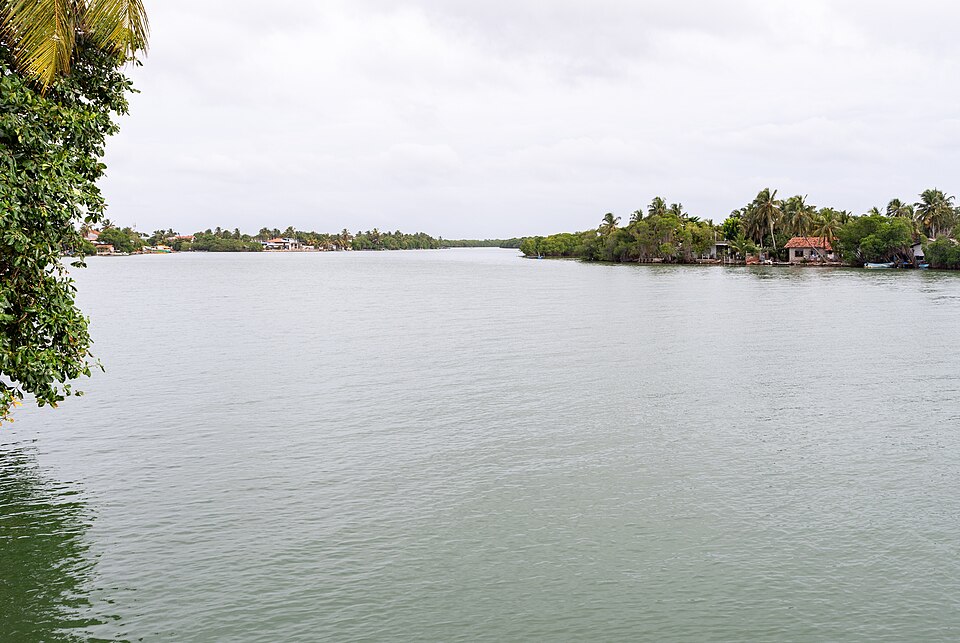Negombo Lagoon at golden hour with boats and palm trees, Sri Lanka
